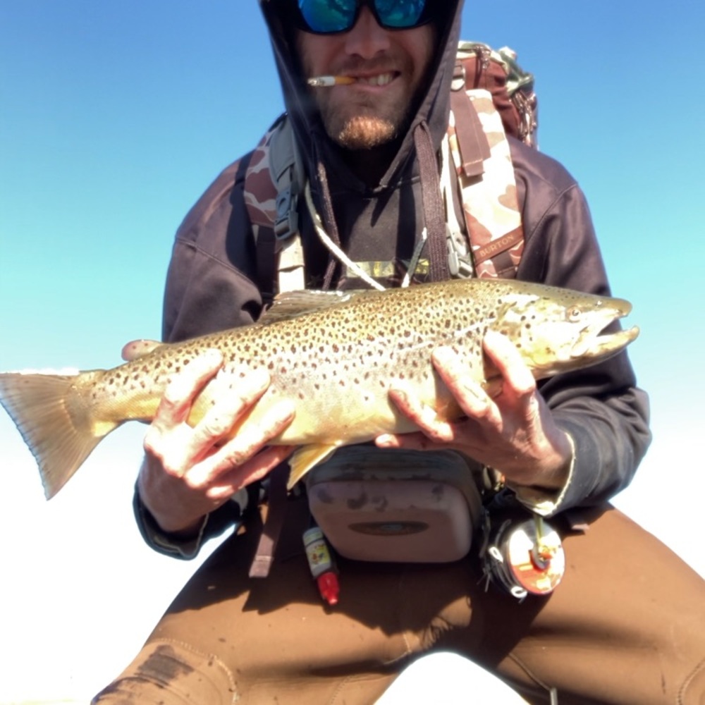 Meet your Posher, Cayd